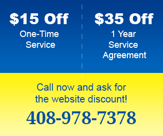 Coupon